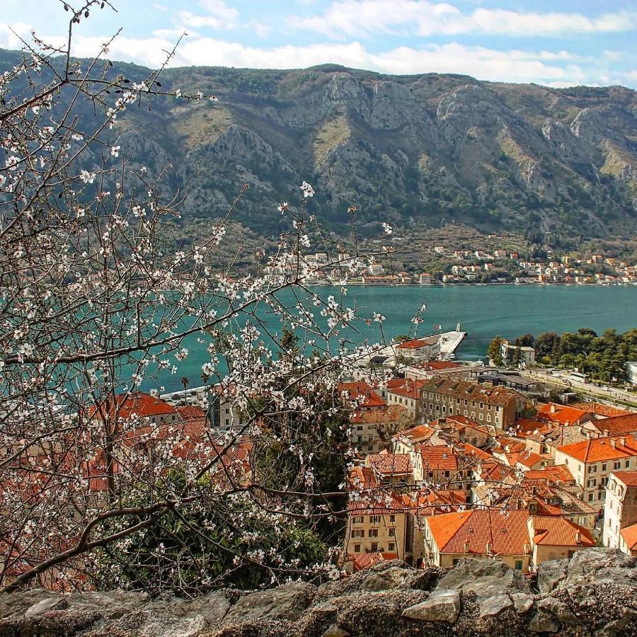 Ferienwohnung Old Town Kotor Square Exterior foto